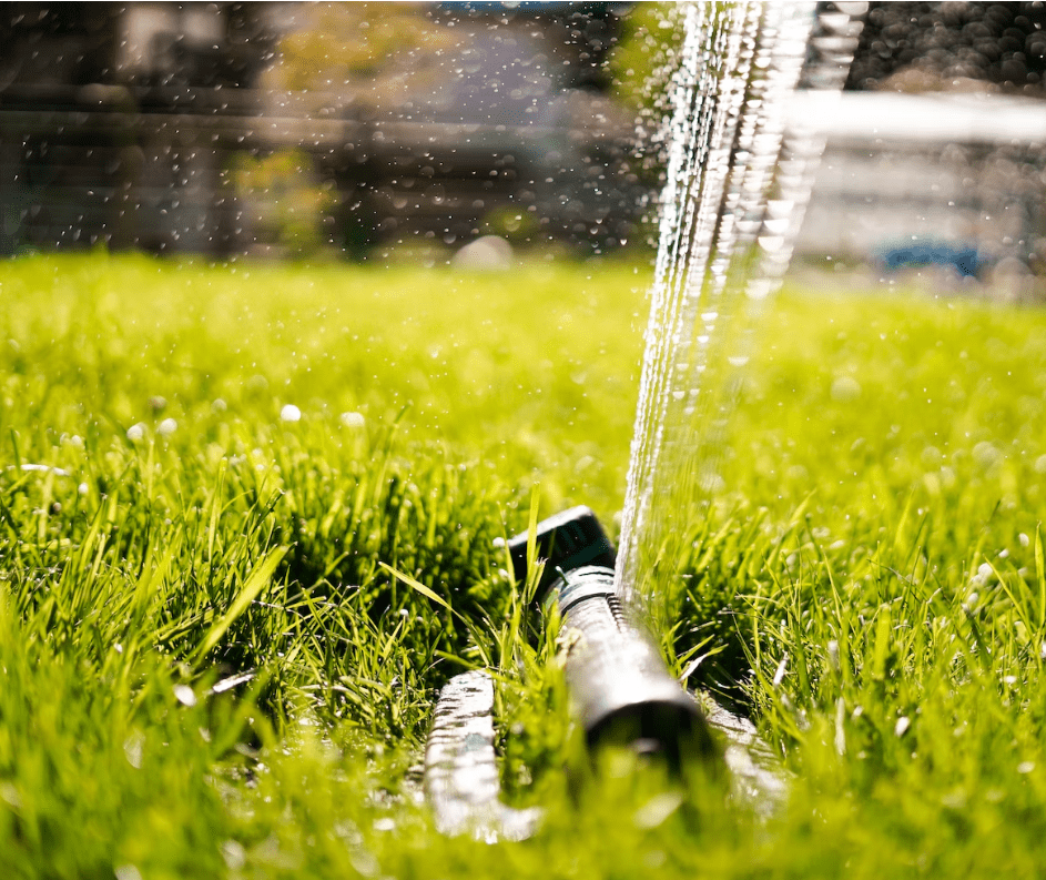 Arrosage Semence - Municipalité de Roxton Pond